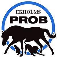 2017-11/logo.jpg